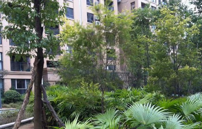 yp街机·电子游戏(中国)官方网站