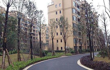 yp街机·电子游戏(中国)官方网站